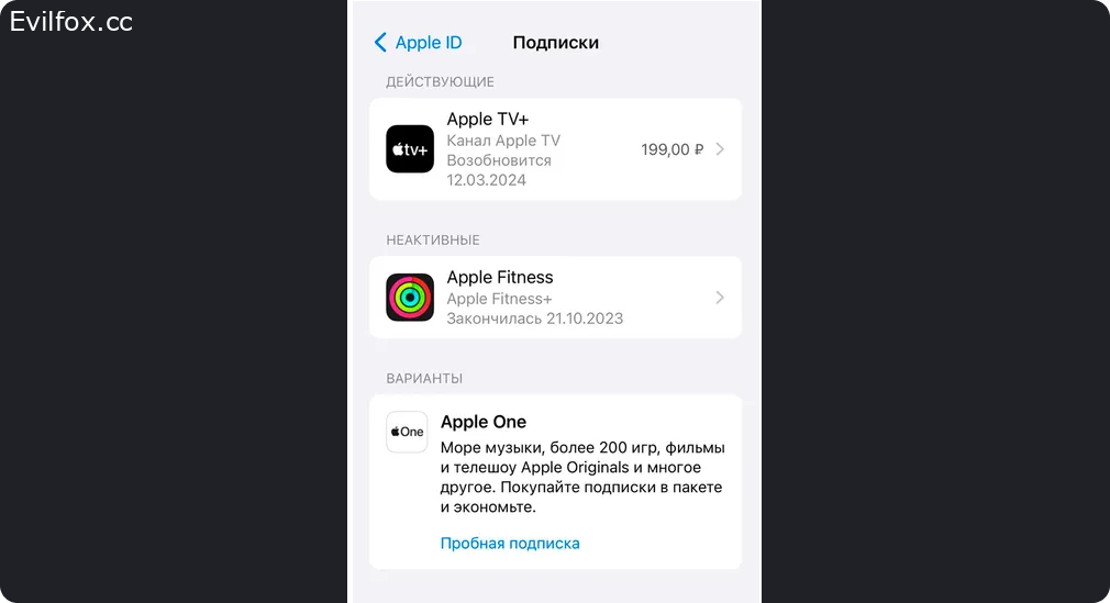 Установка AmneziaVPN на iOS для жителей России