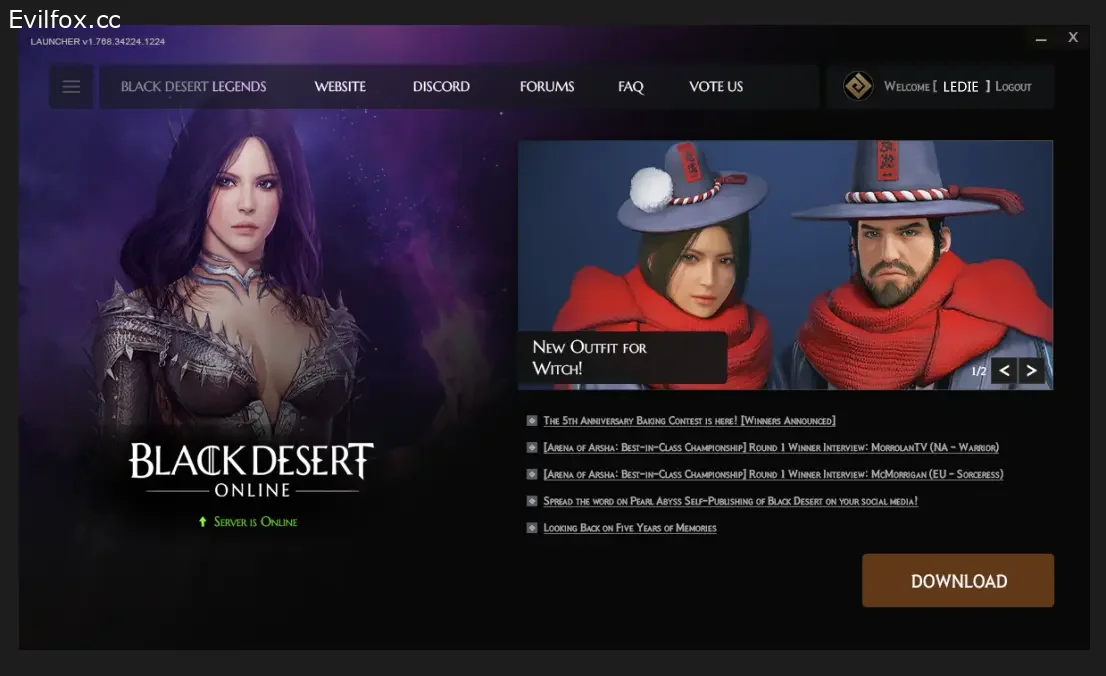 Black Desert [Release] Launcher Complete w/ Source Code