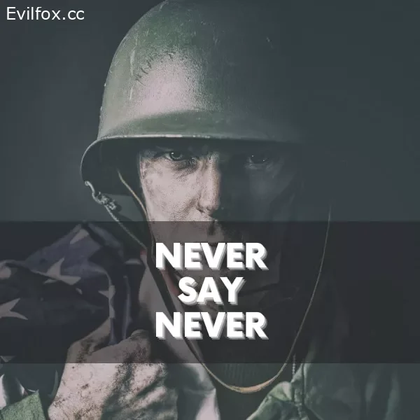 Mod «Never Say Never» for Hearts of Iron 4 (v1.11.10)