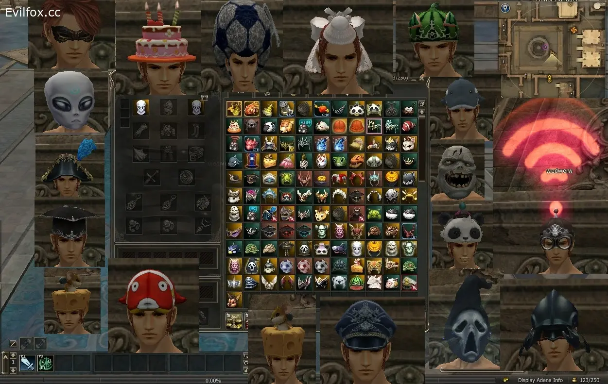 Lineage 2 150+ Accesory IDs for p166