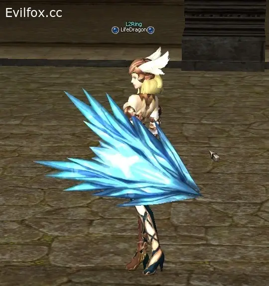 Lineage 2 28 Щитов Interlude