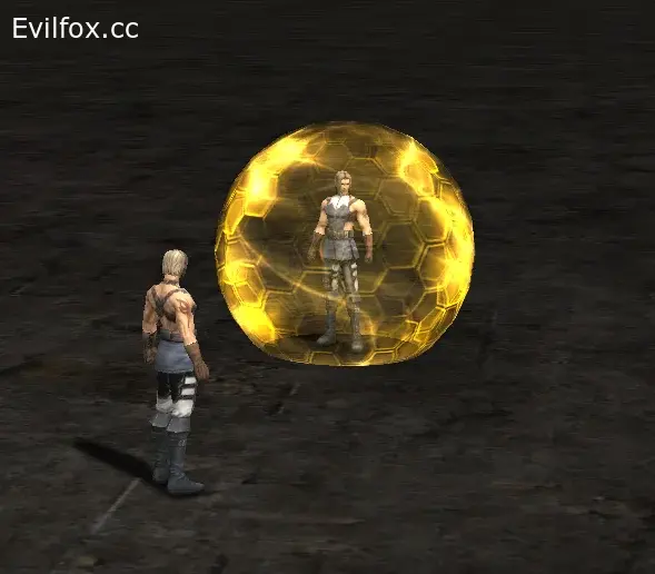 Lineage 2 Vikos Magical Shield Effect Interlude 3 вида!