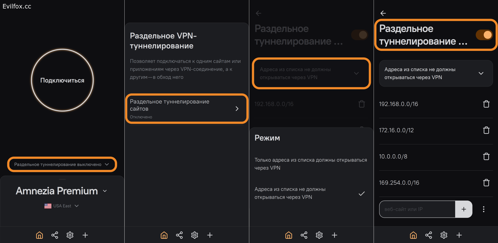 amnezia Раздельное туннелирование
