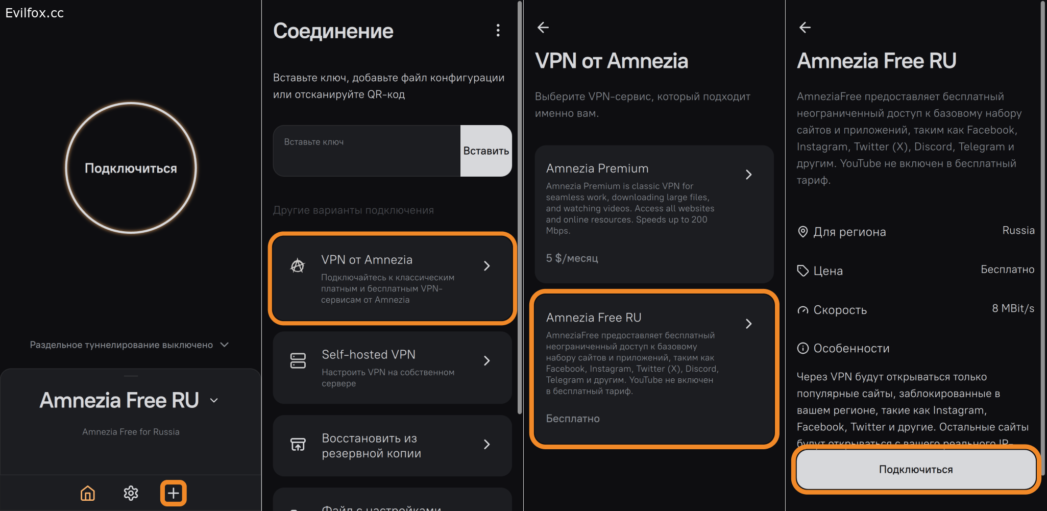 Особенности использования сервисов Amnezia на iOS в России